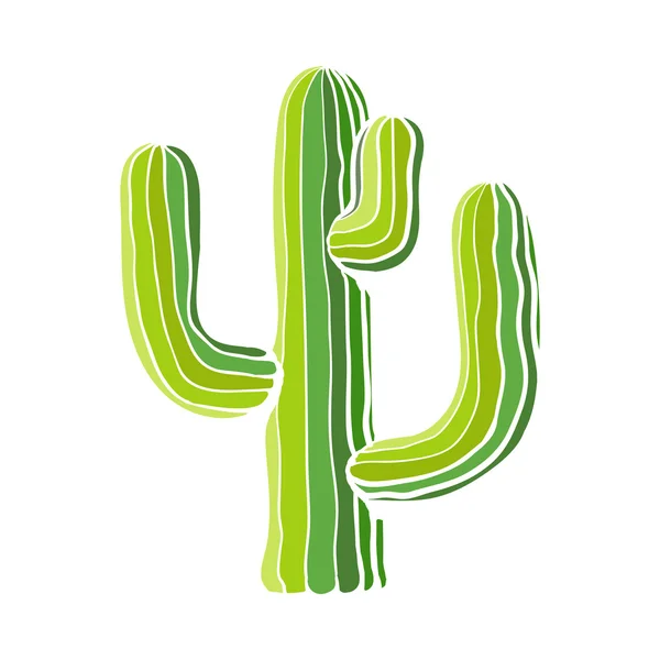 Traditional Mexican tequila cactus isolated on white background — Stock Vector