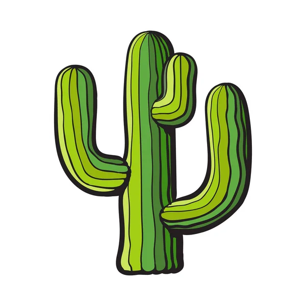Hagyományos mexikói tequila kaktusz elszigetelt fehér background — Stock Vector
