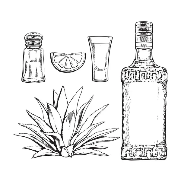 Set of tequila bottle, shot, salt mill, agave and lime - Stock Vector. 