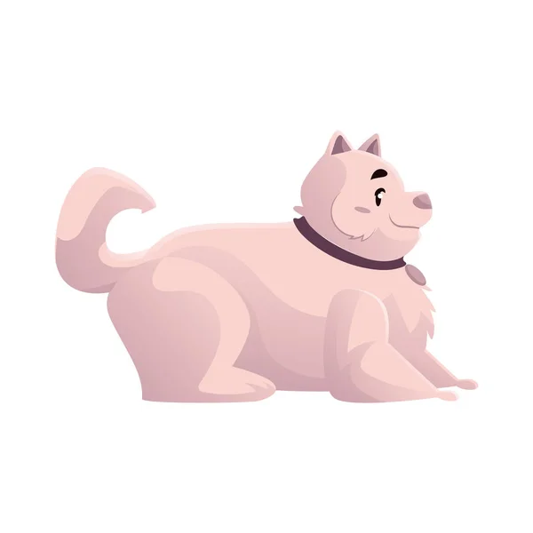 Милый и смешной жирный, пухлый, пушистый белый пес — стоковый вектор