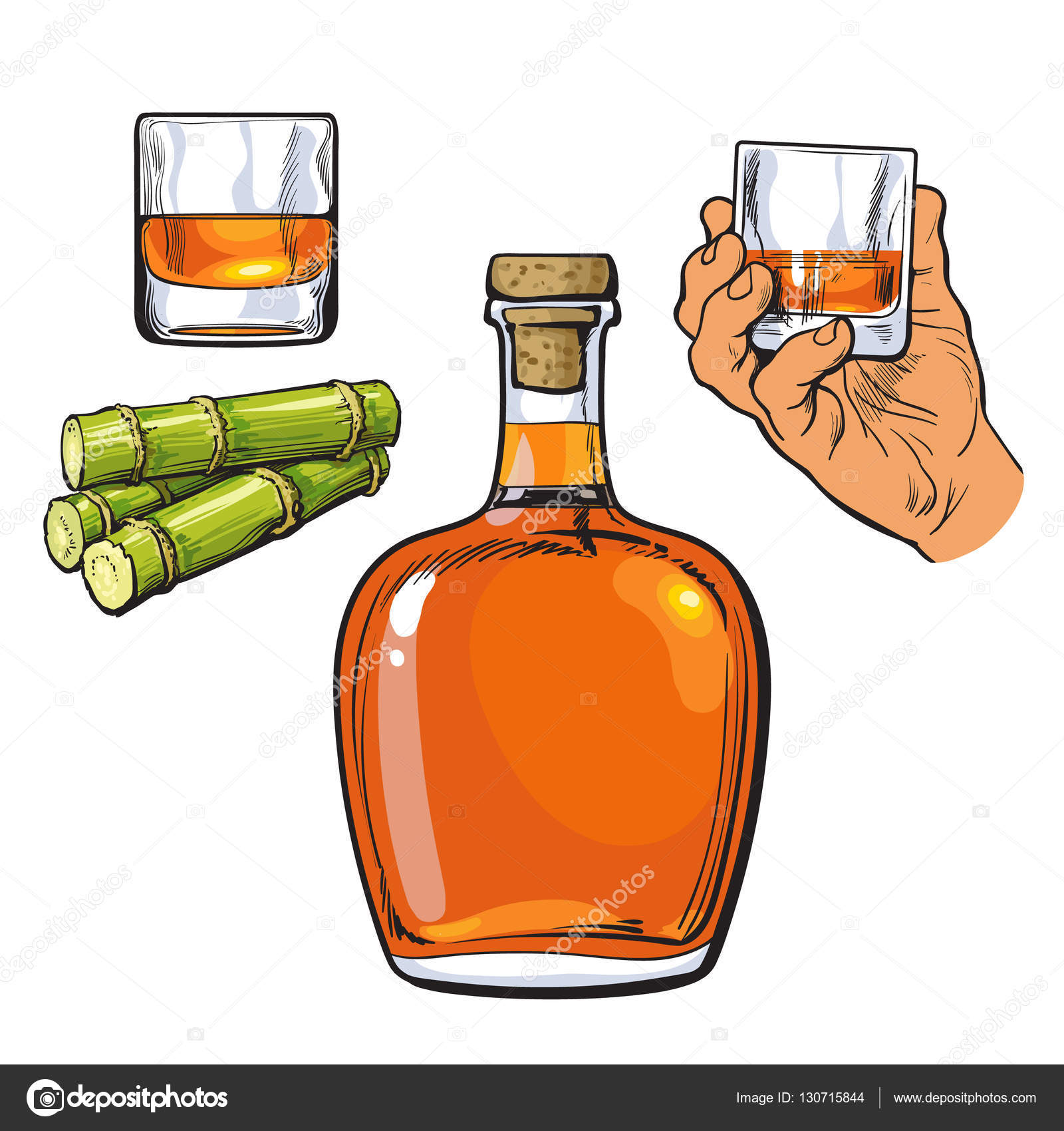 Rum Bottle Vector Best Pictures and Decription