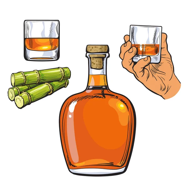 Rum bellied bottle, hand holding shot glass and sugar cane — Stock Vector