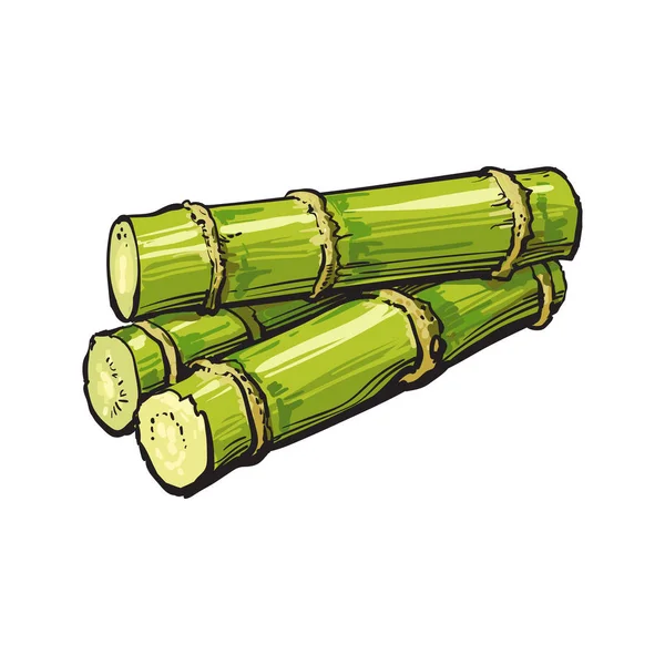 Pile of fresh raw green sugar cane — Stock Vector