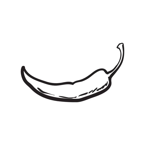 手描きレッド ホット チリ ペッパー ホワイト バック グラウンドの分離 — ストックベクタ