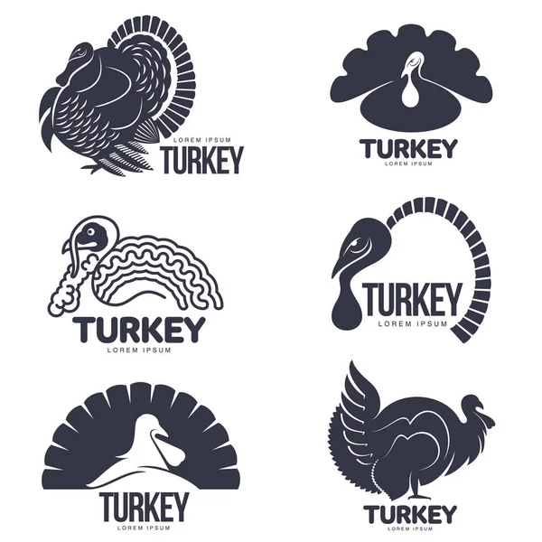 土耳其的一套程式化图形标志模板 — 图库矢量图片