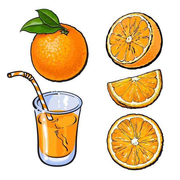 Pomeranče a sklenice čerstvě vymačkané šťávy, vektorové skici — Stockový vektor