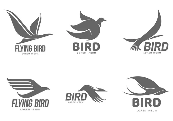 Ensemble de modèles de logo stylisé noir et blanc avec des oiseaux — Image vectorielle