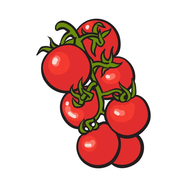 Kroki tarzı parlak olgun kırmızı kiraz domates çizim — Stok Vektör