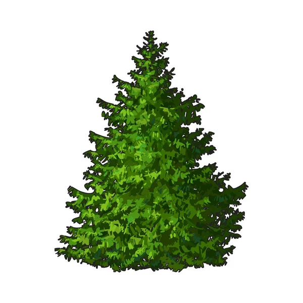Kerstboom geïsoleerd — Stockvector