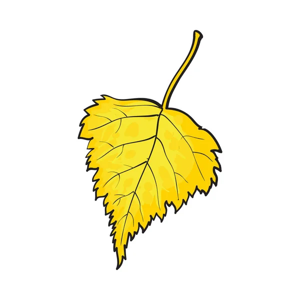 Gyönyörű sárga színű őszi nyír hagyja a elszigetelt fehér háttér — Stock Vector