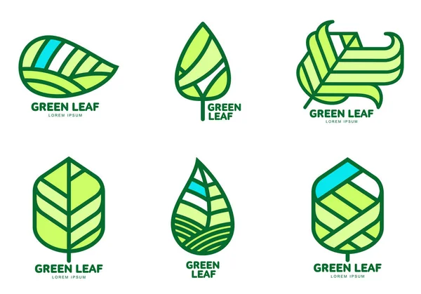 Набор шаблонов логотипов зеленых листьев, векторная иллюстрация — стоковый вектор