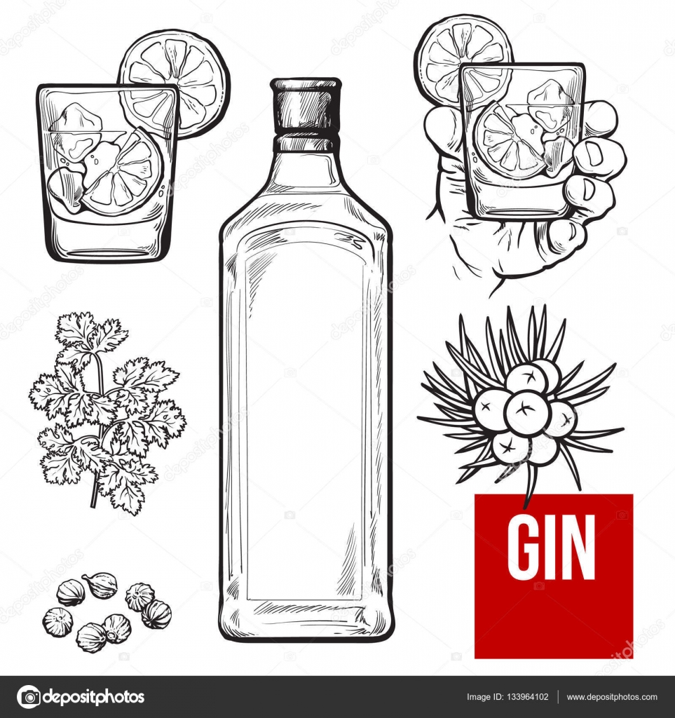 Download Gin Bottle Shot Glass With Ice And Lime Juniper Berries Stock Vector C Sabelskaya 133964102 Yellowimages Mockups