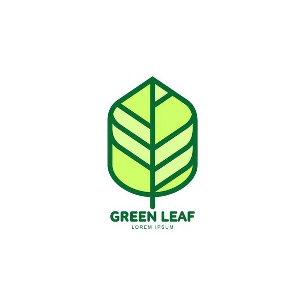 Grüne Blatt aufwachsen Logo-Vorlage, Vektorillustration — Stockvektor