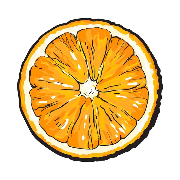 Fatia redonda colorida desenhada à mão de laranja não descascada, ilustração vetorial — Vetor de Stock