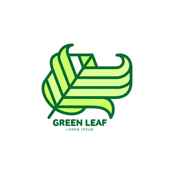 Pointed green leaf growing up logo template, vector illustration — Stock Vector