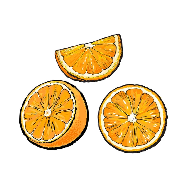 Elle çizilmiş yarım turuncu, dilim ve kesimi — Stok Vektör