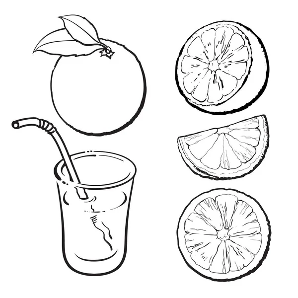 Sinaasappelen en een glas vers geperst sap, vector schets — Stockvector