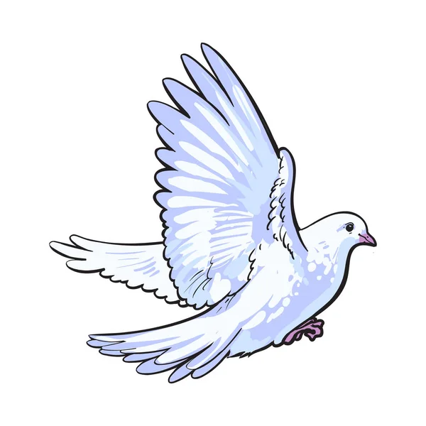 Darmo latające biały gołąb, na białym tle szkicu styl ilustracji — Wektor stockowy