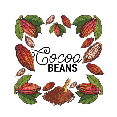 Square frame decoration element of cacao fruit, beans and powder clipart