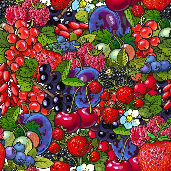 Seamless pattern with many berries like blueberry, raspberry, gooseberry, plum — Stock Vector
