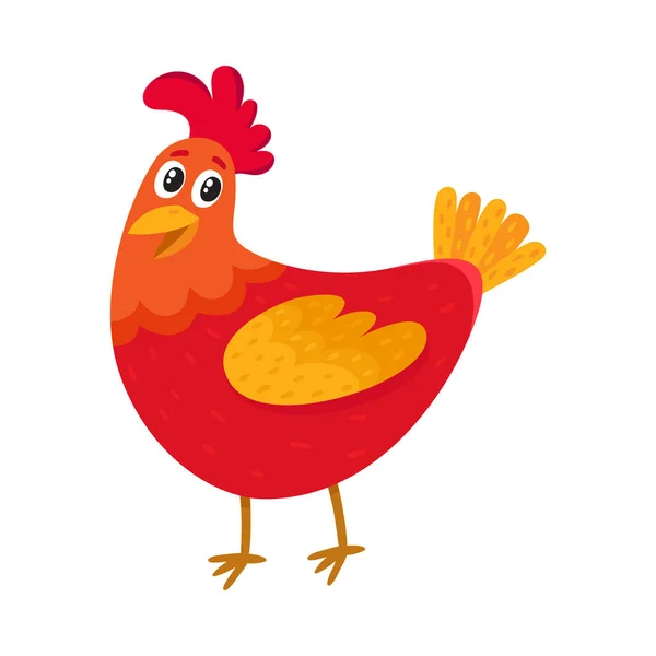 Divertente cartone animato pollo rosso, gallina in piedi e sorridente felicemente — Vettoriale Stock