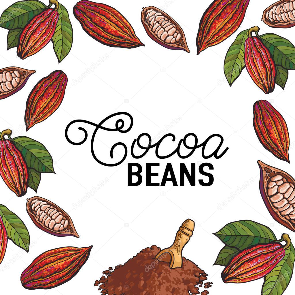 Square banner, poster template with frame of cacao fruits, beans