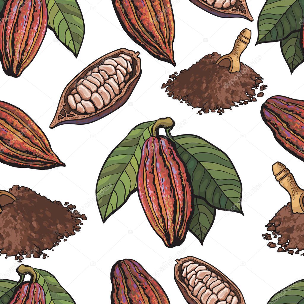 Seamless pattern of cacao fruit, beans, powder on white background