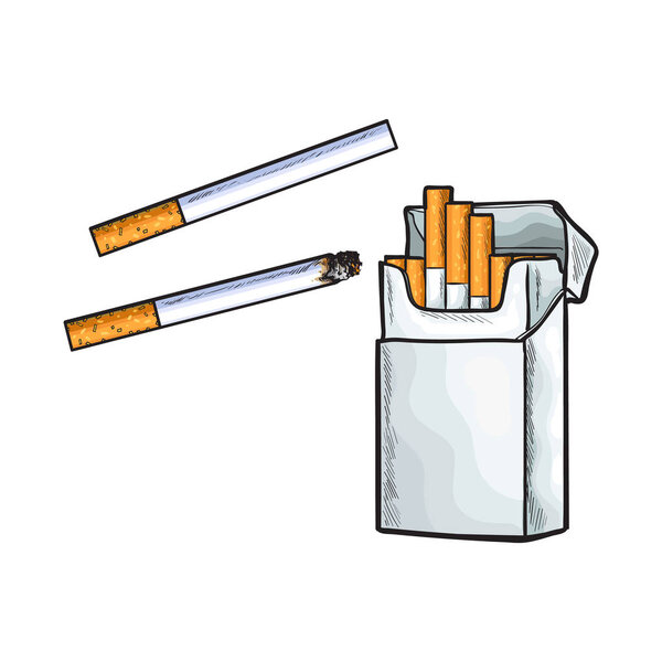 Unlabeled standing open pack of cigarettes, isolated sketch vector illustration