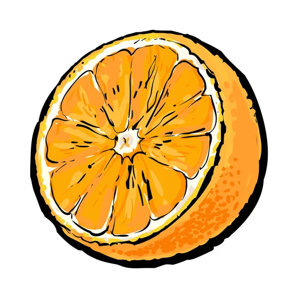 現実的なカラフルな手でジューシーなオレンジ、ベクトル図の半分を描画 — ストックベクタ