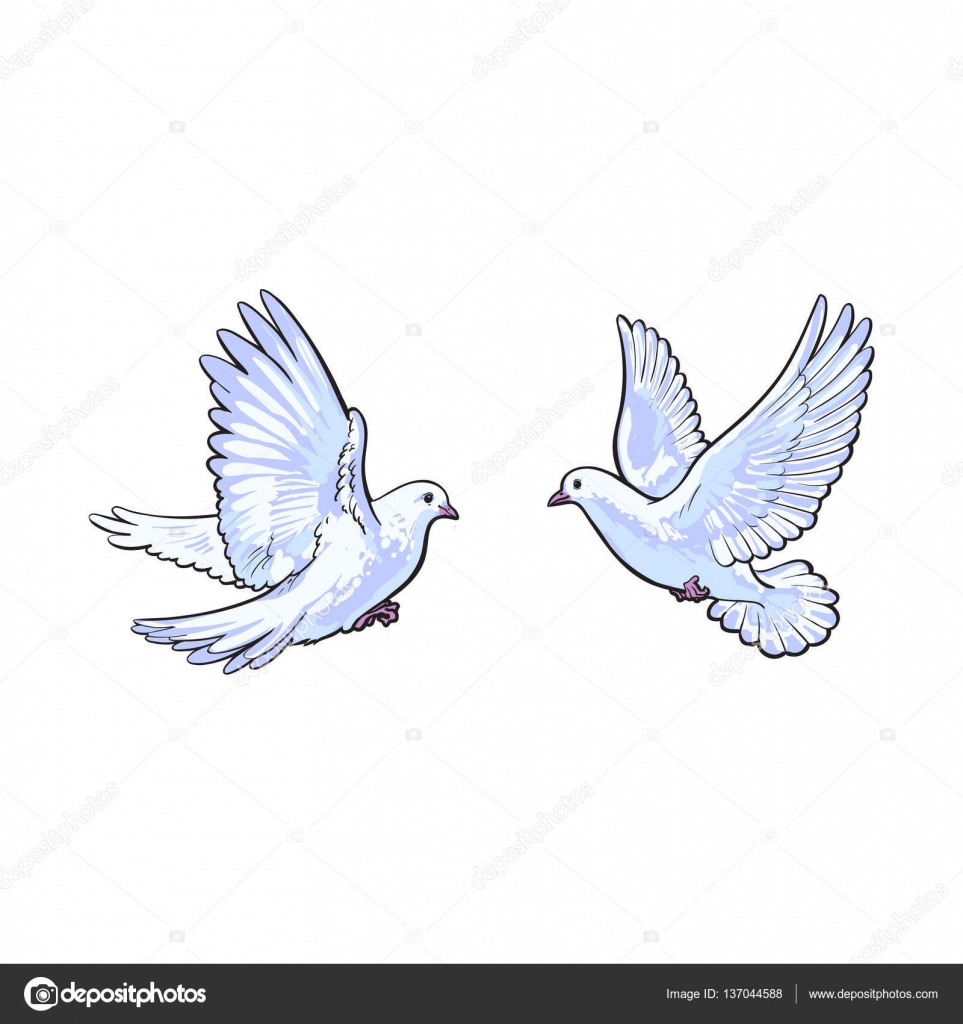 Free Flying White Vector & Photo (Free Trial) | Bigstock