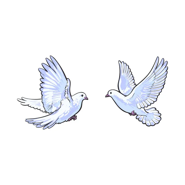 Dos palomas blancas voladoras libres, ilustración aislada del estilo del boceto — Archivo Imágenes Vectoriales