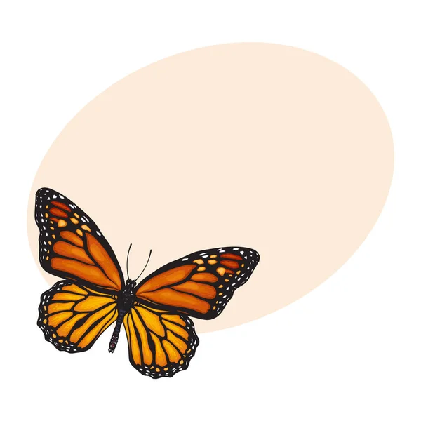 Vista superior de la hermosa mariposa monarca, ilustración de estilo de boceto aislado — Vector de stock
