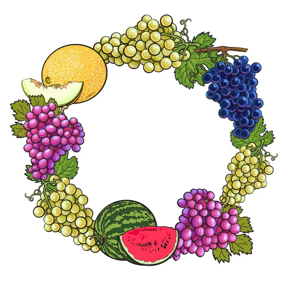 Cadre rond de raisins blancs, verts, violets, melon et pastèque — Image vectorielle