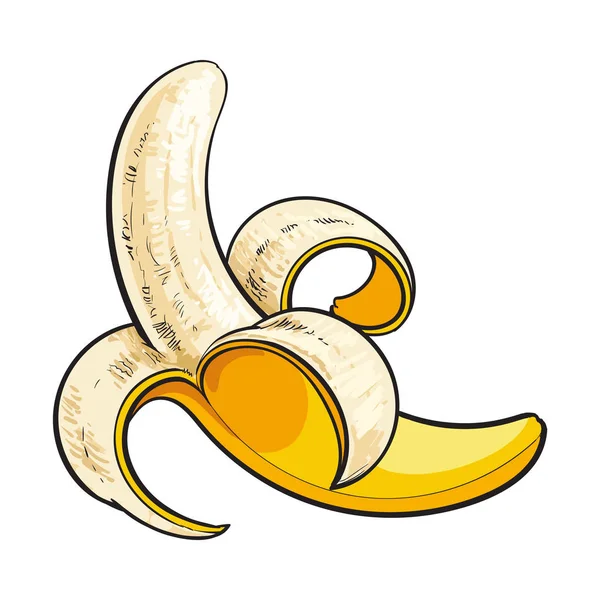 1 つ開いて、皮をむいた完熟のバナナ、スケッチ スタイルのベクトル図 — ストックベクタ