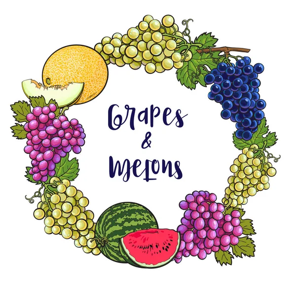 Cadre rond de raisins, melon, pastèque avec place pour le texte — Image vectorielle