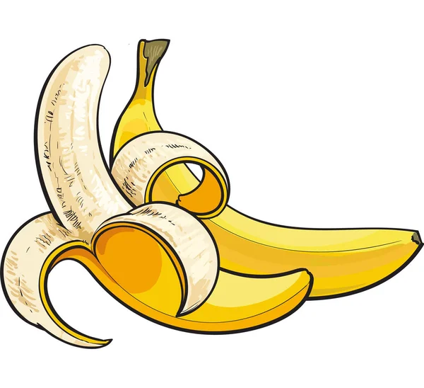 Duas bananas maduras, uma aberta, outra não aberta e sem casca —  Vetores de Stock