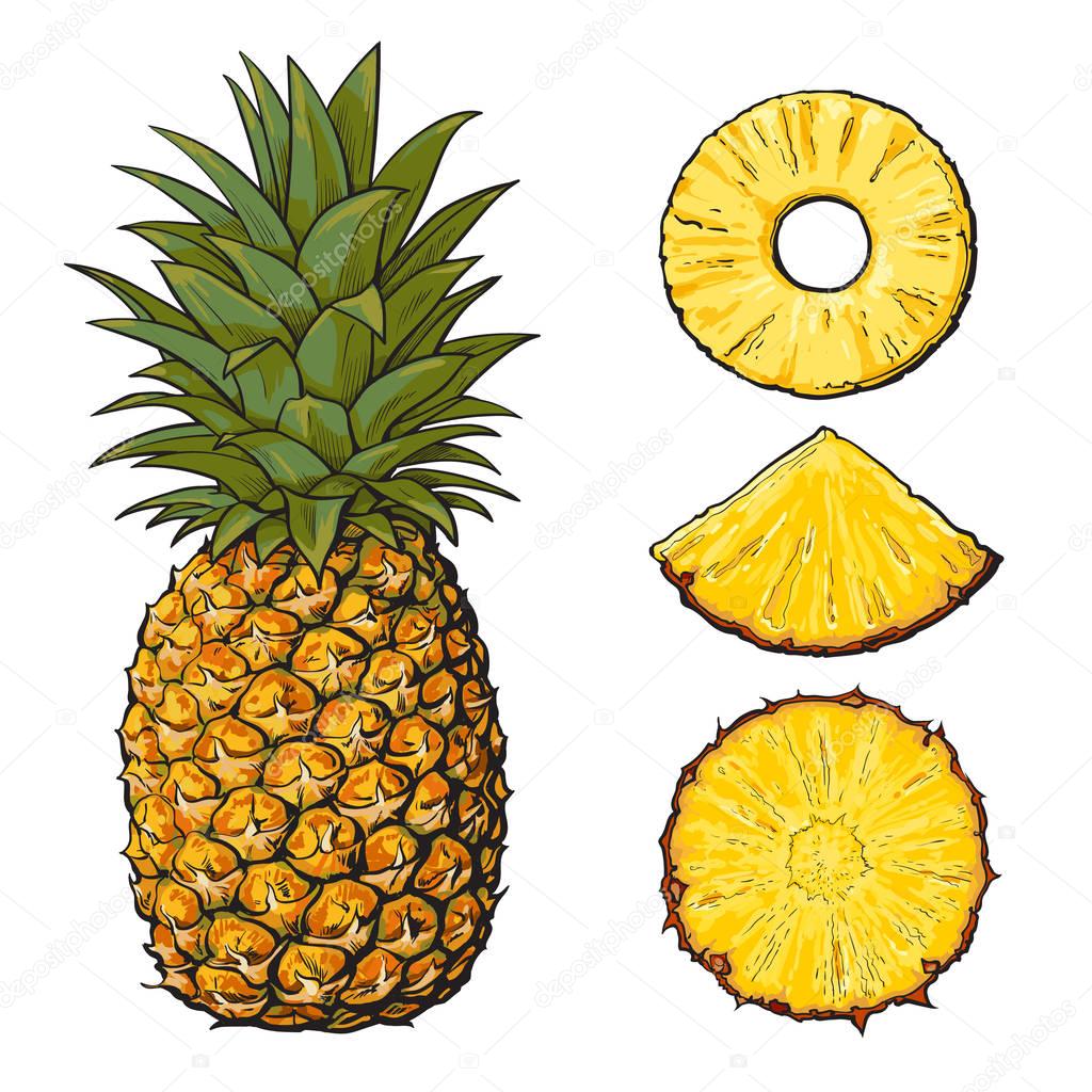Whole pineapple and slices peeled, unpeeled, wedge, vector