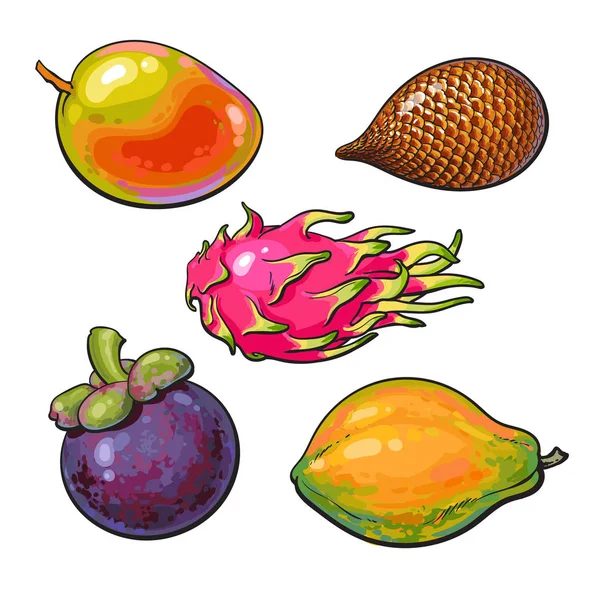 Mangue entière, non pelée, non coupée, papaye, mangoustan, salak, pitaya fruits tropicaux — Image vectorielle