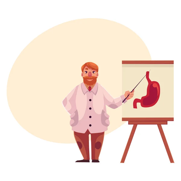 Gastroenterólogo masculino con bata de laboratorio apuntando al estómago en un póster — Vector de stock