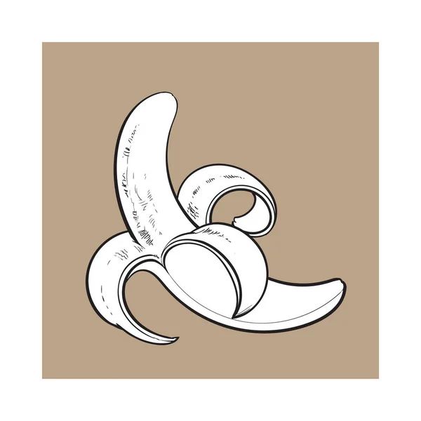 1 つ開いて、皮をむいた完熟のバナナ、スケッチ スタイルのベクトル図 — ストックベクタ