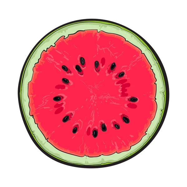 Half of ripe watermelon, top view sketch style vector illustration — Stock Vector