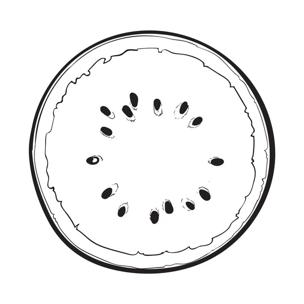 Half of ripe watermelon, top view sketch style vector illustration — Stock Vector