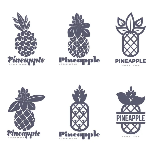 Set of black and white graphic pineapple logo templates — Stock Vector