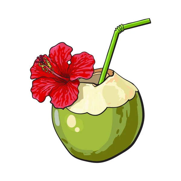 Кокосовий коктейль, напій, прикрашений квіткою гібіскуса, атрибут літніх канікул — стоковий вектор