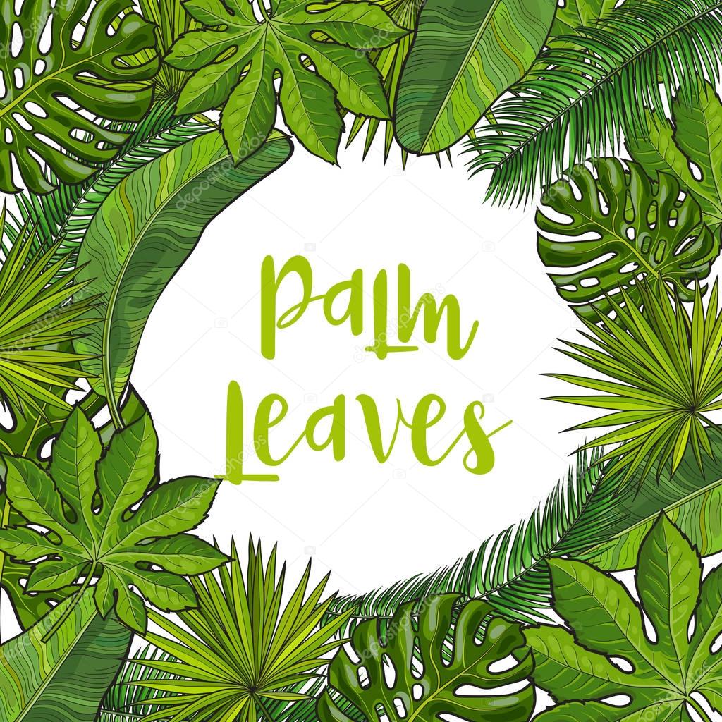 Frame of tropical palm leaves with round place for text
