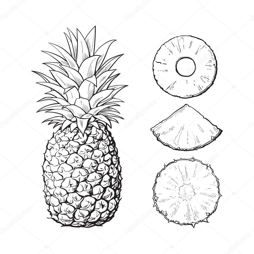 Whole pineapple and slices - peeled, unpeeled, wedge, vector illustration