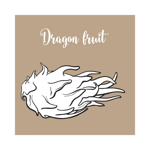 Fruits du dragon entiers, non pelés et non coupés, en position horizontale — Image vectorielle