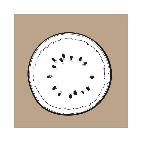 Moitié pastèque mûre, illustration vectorielle de style croquis vue du dessus — Image vectorielle