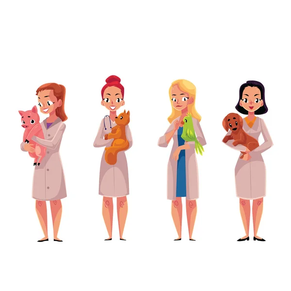 Feminino, médico veterinário mulher, veterinários segurando gato, papagaio, cão, porco —  Vetores de Stock