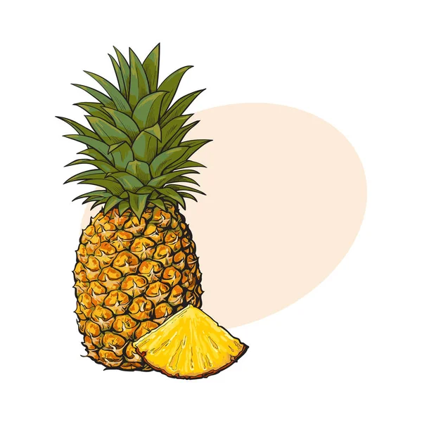 Hela, oskalade, uncut, vertikala ananas och kil bildas skiva — Stock vektor